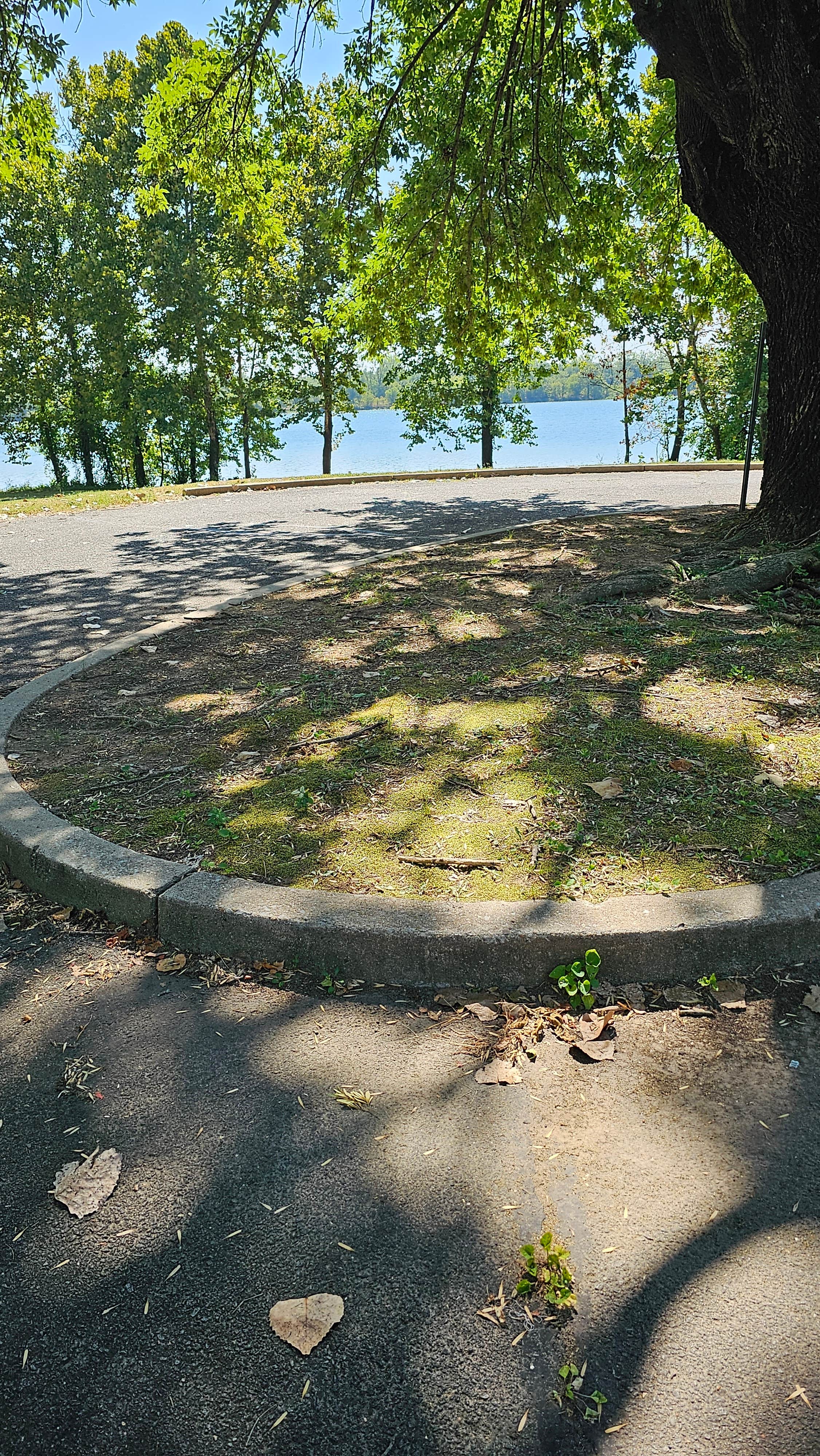 Camper-submitted photo at Lee Creek Public Use Area near Van Buren, AR