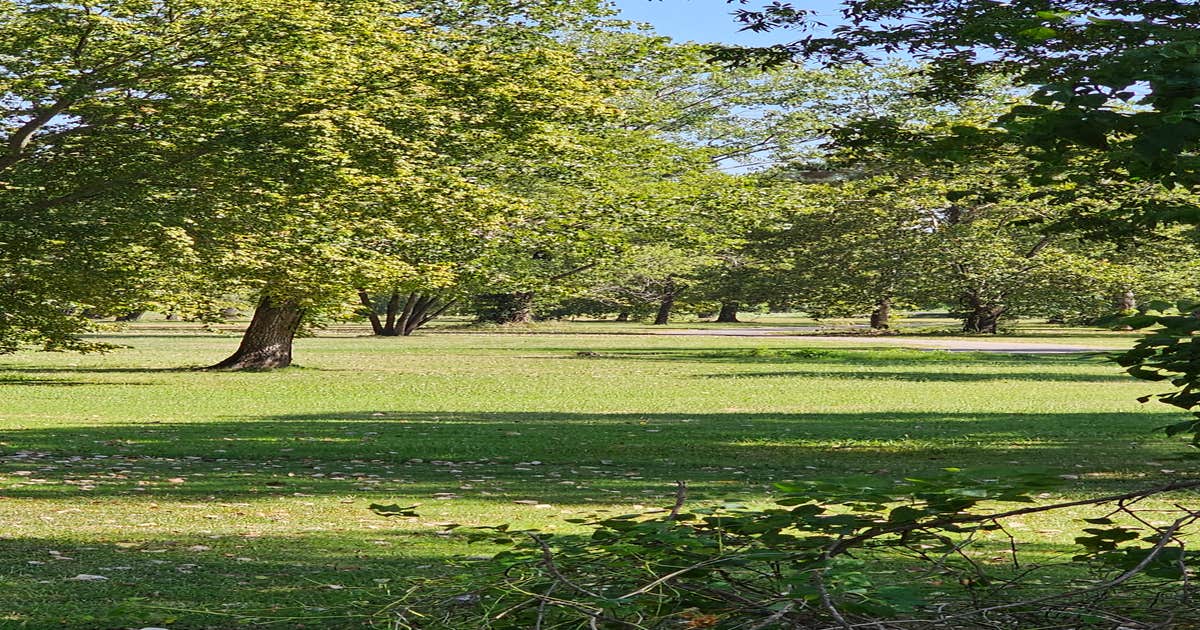 Lee Creek Public Use Area Camping Hartford, AR