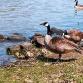 Review photo of Maumelle Park by Christopher  T., August 30, 2025