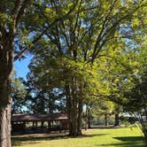Review photo of Maumelle Park by Brenda L., October 10, 2025