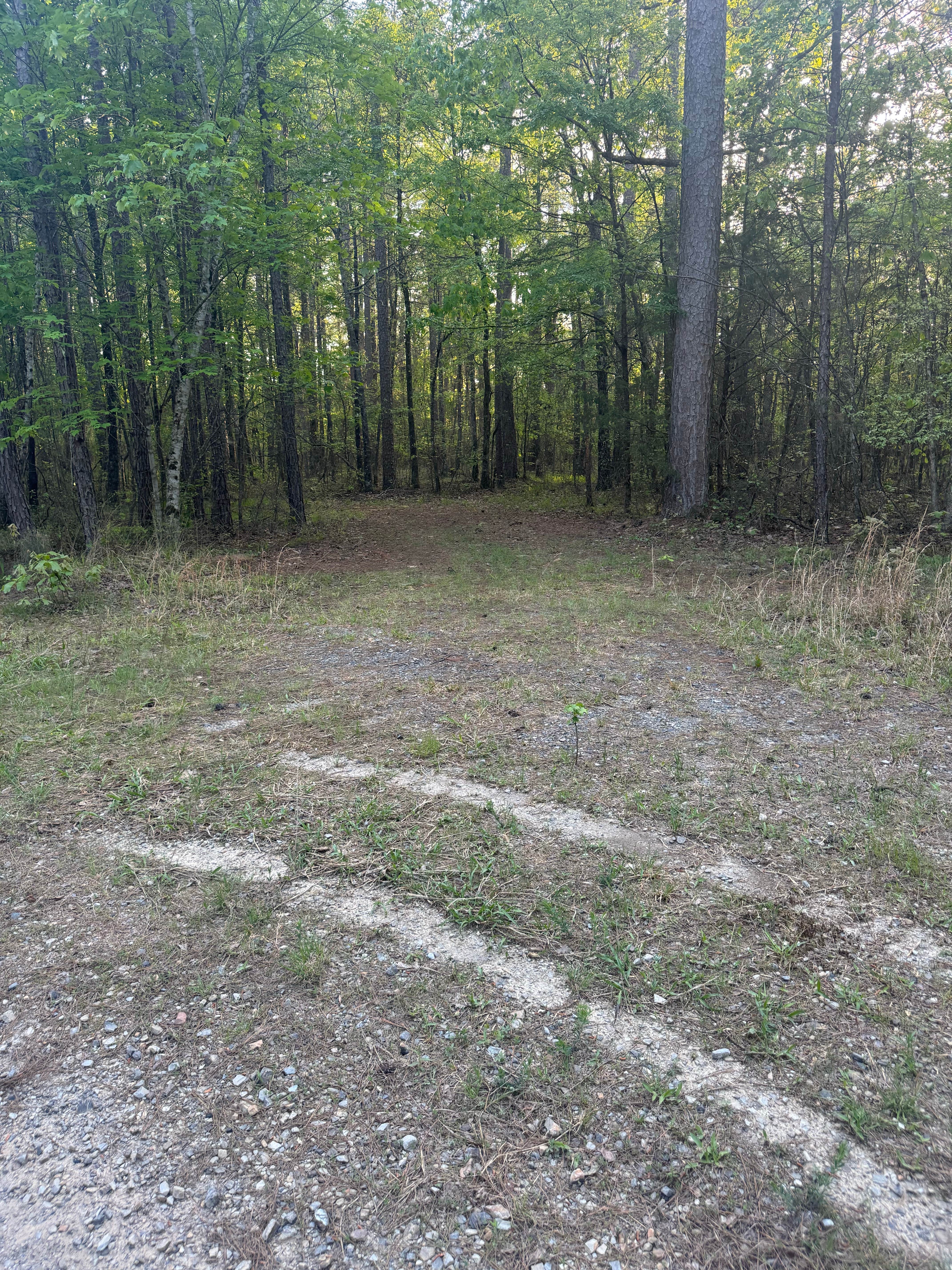 Camper-submitted photo at Ouachita/Mill Creek near Boles, AR