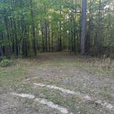 Review photo of Ouachita/Mill Creek by Brenda Y., April 14, 2026