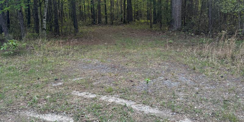 Camper submitted image from Ouachita/Mill Creek