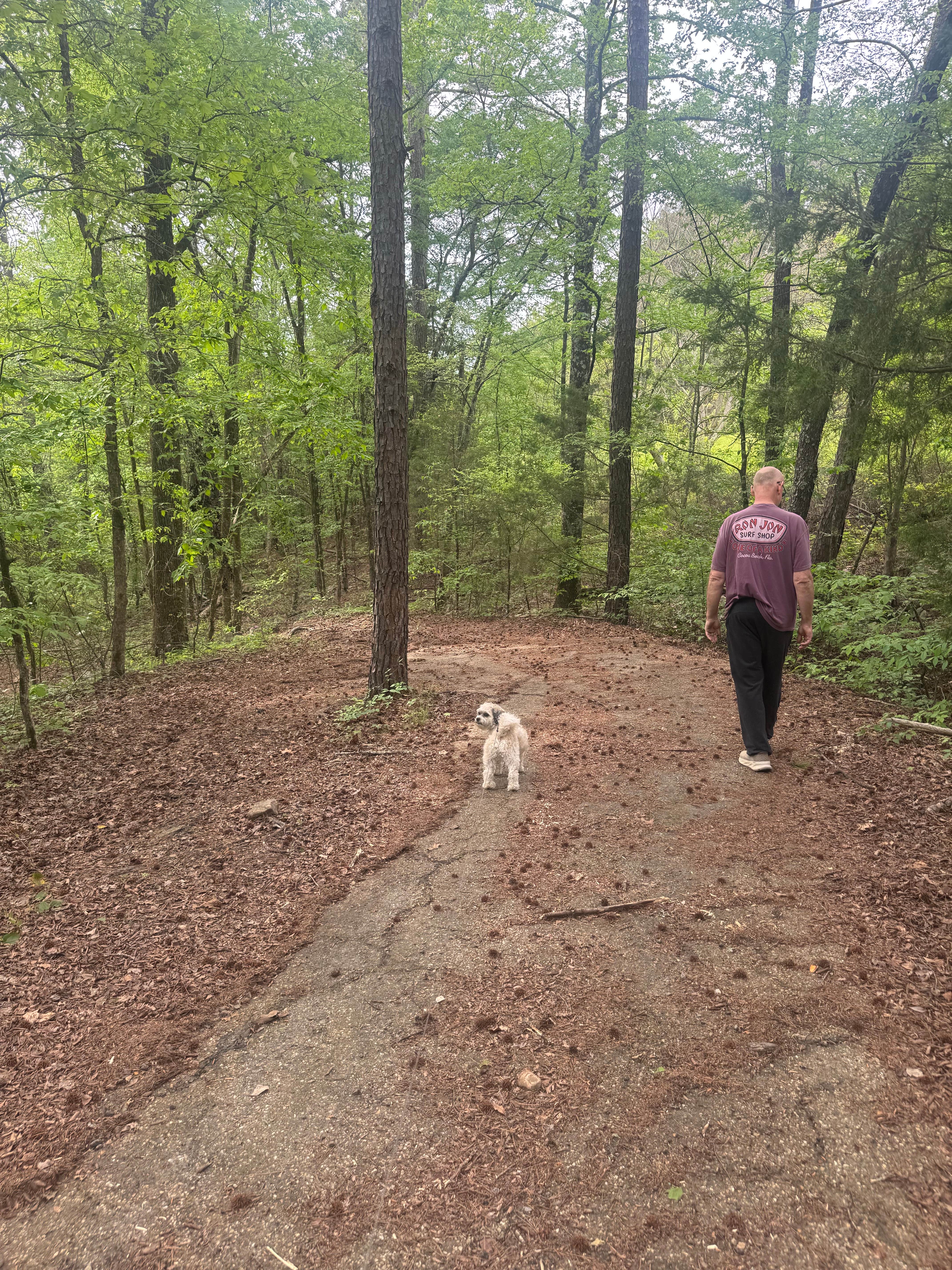 Camper-submitted photo at Ouachita/Mill Creek near Boles, AR