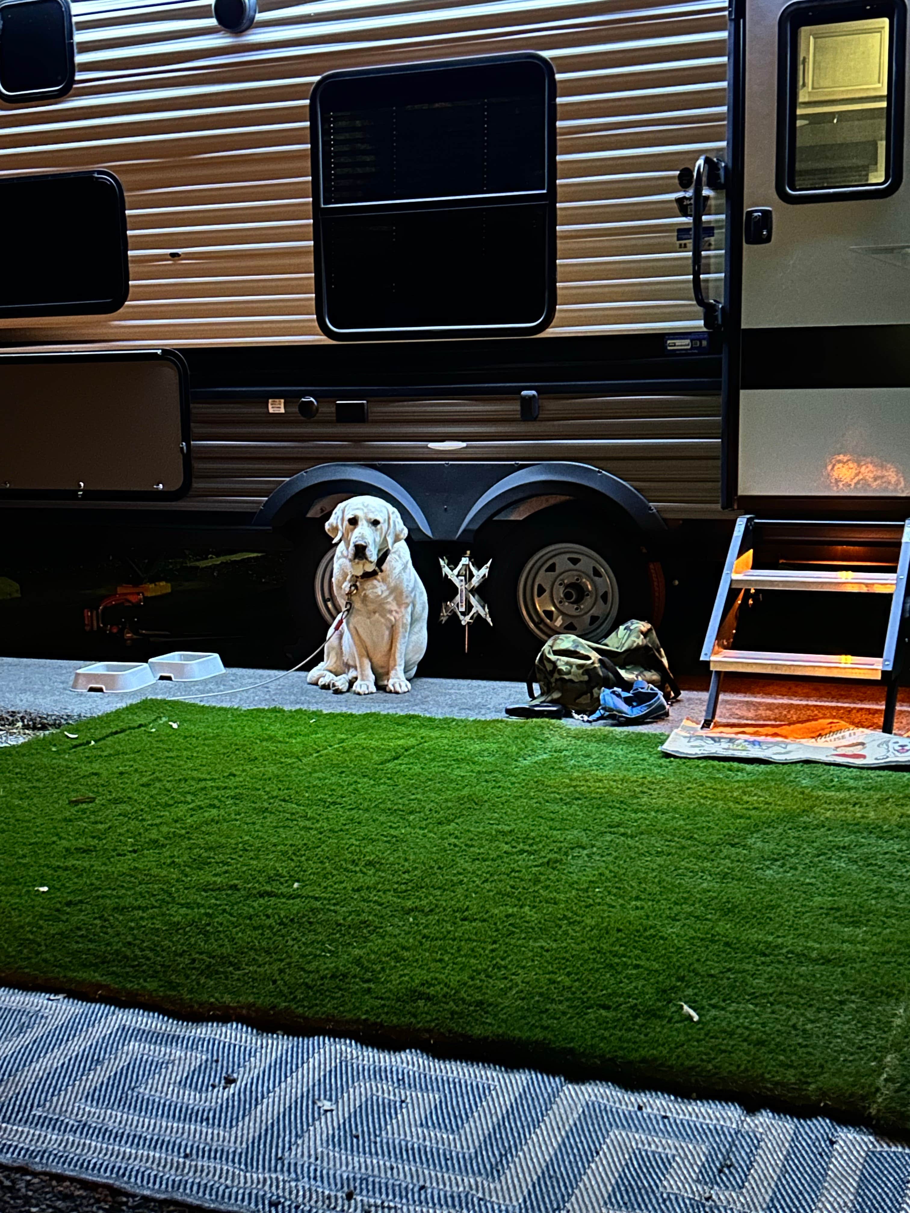 Brian G.'s photo of camping with pets at Moro Bay State Park Campground near Fairbanks, LA