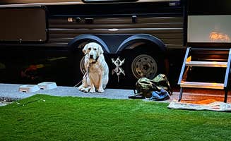 Brian G.'s photo of camping with pets at Moro Bay State Park Campground near McNeil, AR