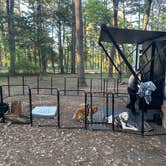 Review photo of Petit Jean State Park — Petit Jean State Park by Bill  T., January 2, 2026