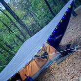 Review photo of Petit Jean State Park — Petit Jean State Park by Lindsey M., April 11, 2026