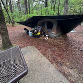 Review photo of Petit Jean State Park — Petit Jean State Park by Lindsey M., April 11, 2026