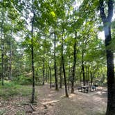 Review photo of Petit Jean State Park — Petit Jean State Park by Brian K., May 25, 2026