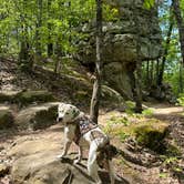 Review photo of Petit Jean State Park — Petit Jean State Park by Bill  T., January 2, 2026