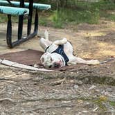 Review photo of Petit Jean State Park — Petit Jean State Park by Elise A., July 20, 2025