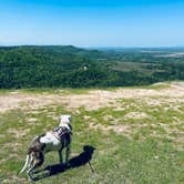 Review photo of Petit Jean State Park — Petit Jean State Park by Bill  T., January 2, 2026