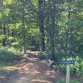 Review photo of Queen Wilhelmina State Park — Queen Wihelmina State Park by Brian K., May 26, 2026