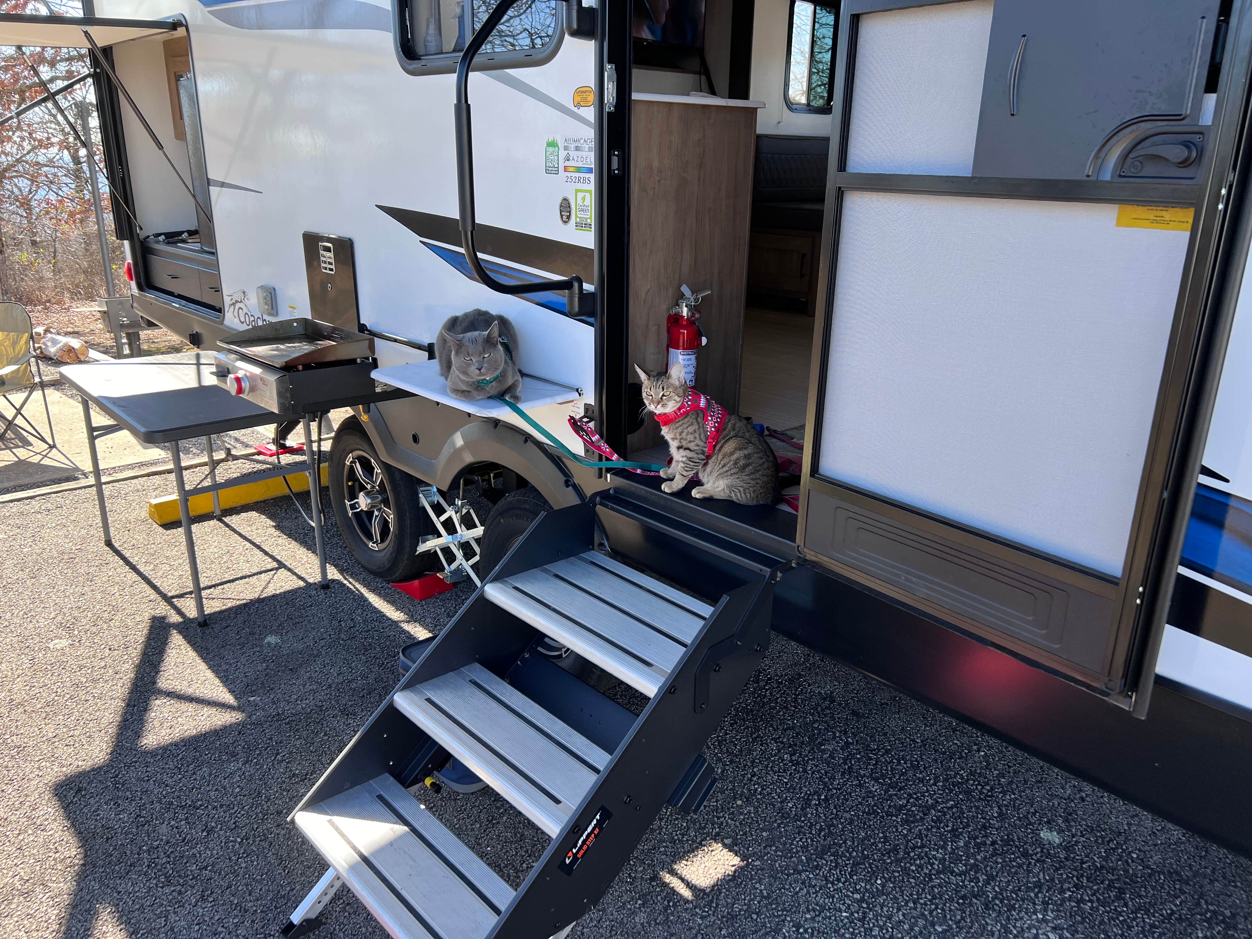 Matthew M.'s photo of camping with pets at Queen Wilhelmina State Park — Queen Wihelmina State Park near DeQueen Lake