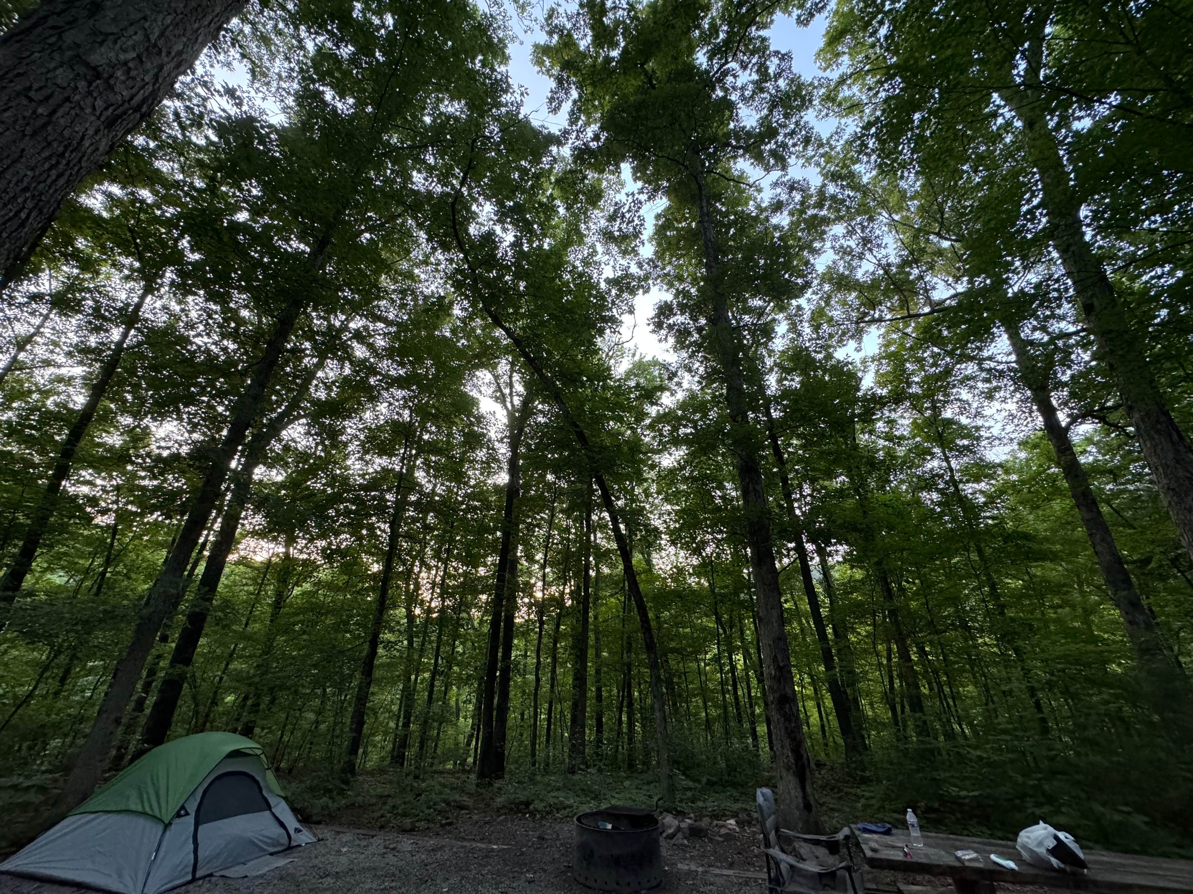 Channel O.'s photo at Richland Creek Recreation Area near Witts Springs, AR