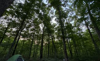Channel O.'s photo at Richland Creek Recreation Area near Mount Judea, AR