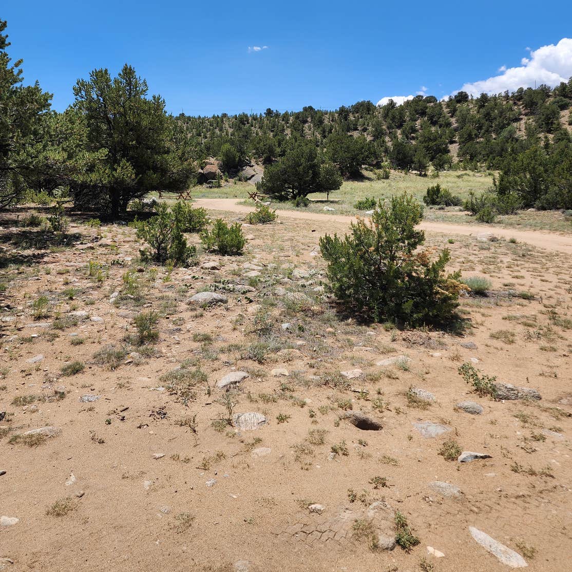 Arkansas River Headwaters Camping | Buena Vista, CO