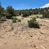 Review photo of Arkansas River Headwaters by Thomas N., July 8, 2024