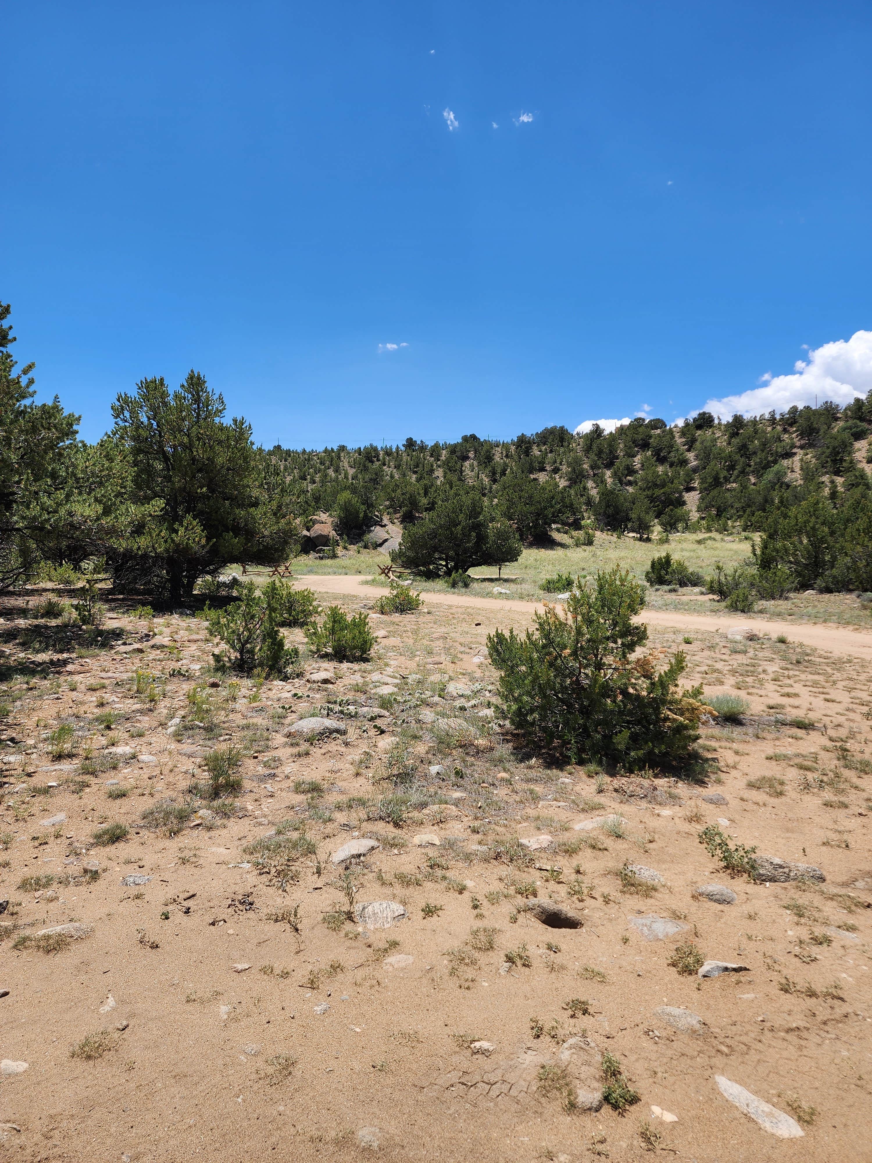 Camper submitted image from Arkansas River Headwaters - 1