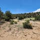 Arkansas River Headwaters