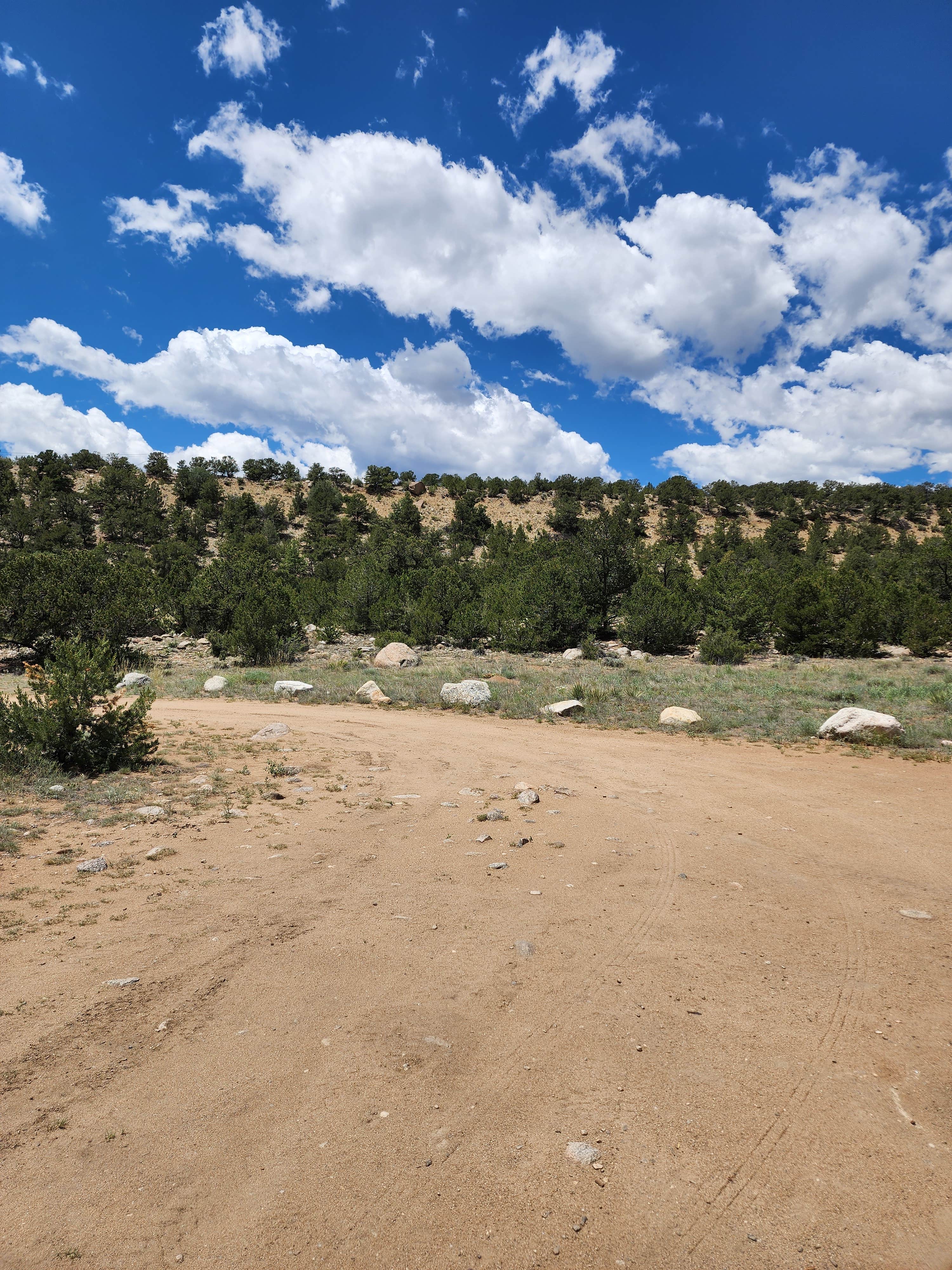 Camper submitted image from Arkansas River Headwaters - 2