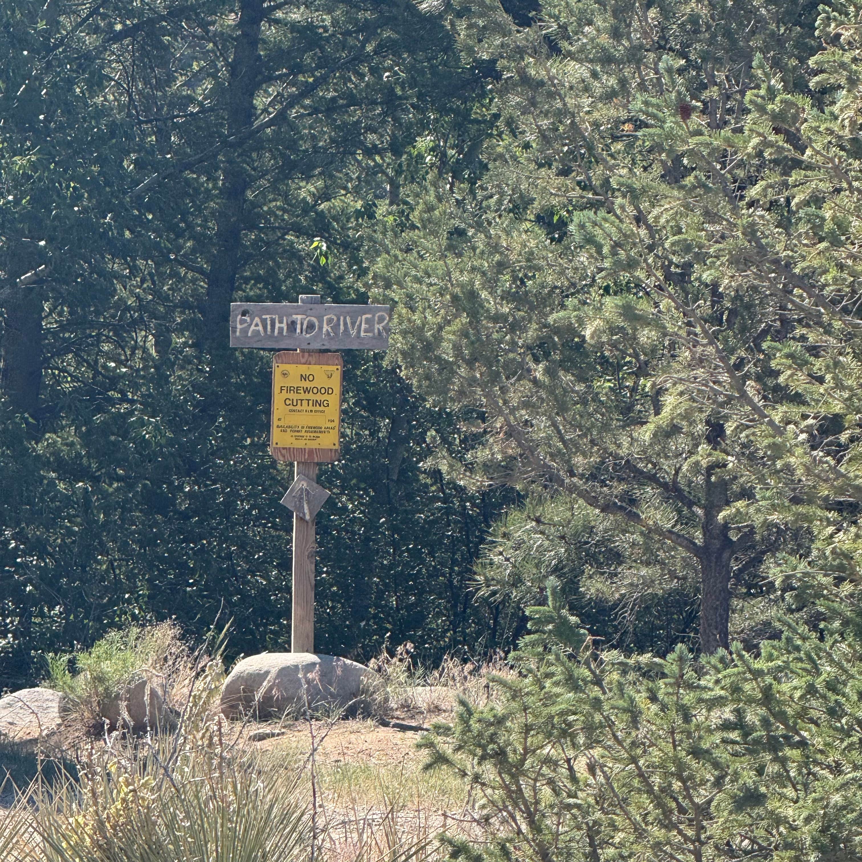 Camper-submitted photo at Arkansas River Rim Campground near Granite, CO