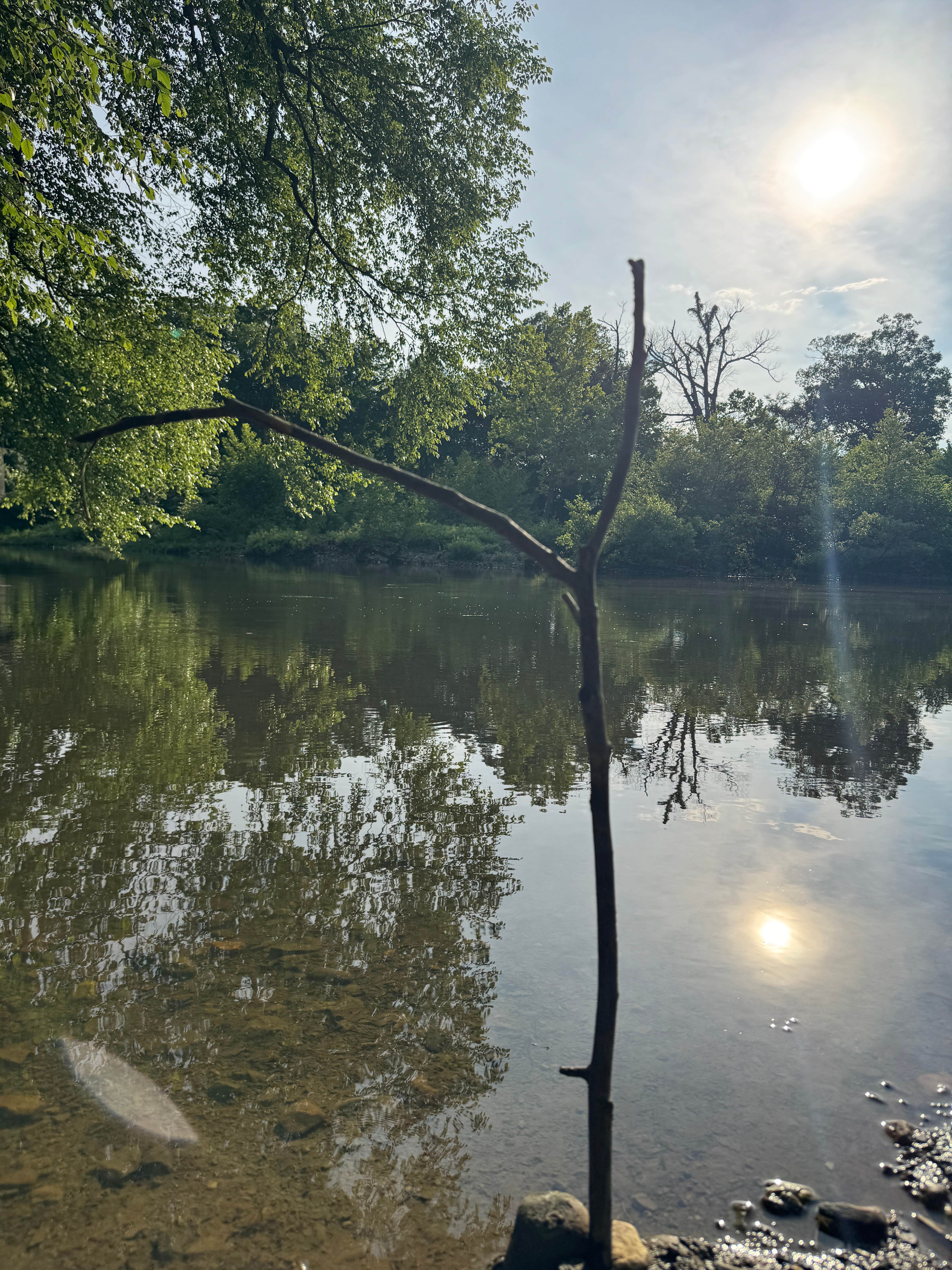 Camper-submitted photo at Rocky Shoals near Oden, AR