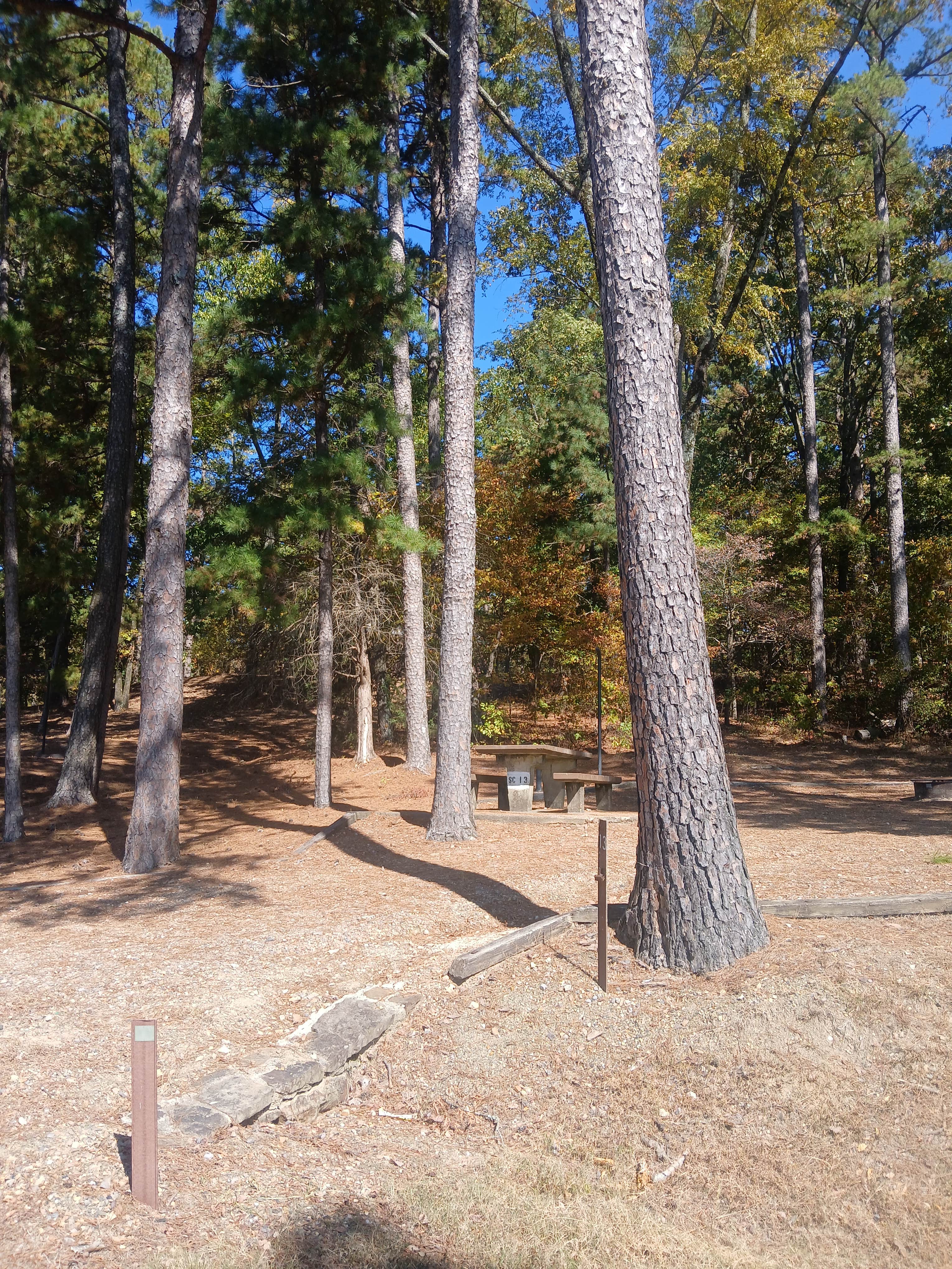 Camper submitted image from Self Creek - 2