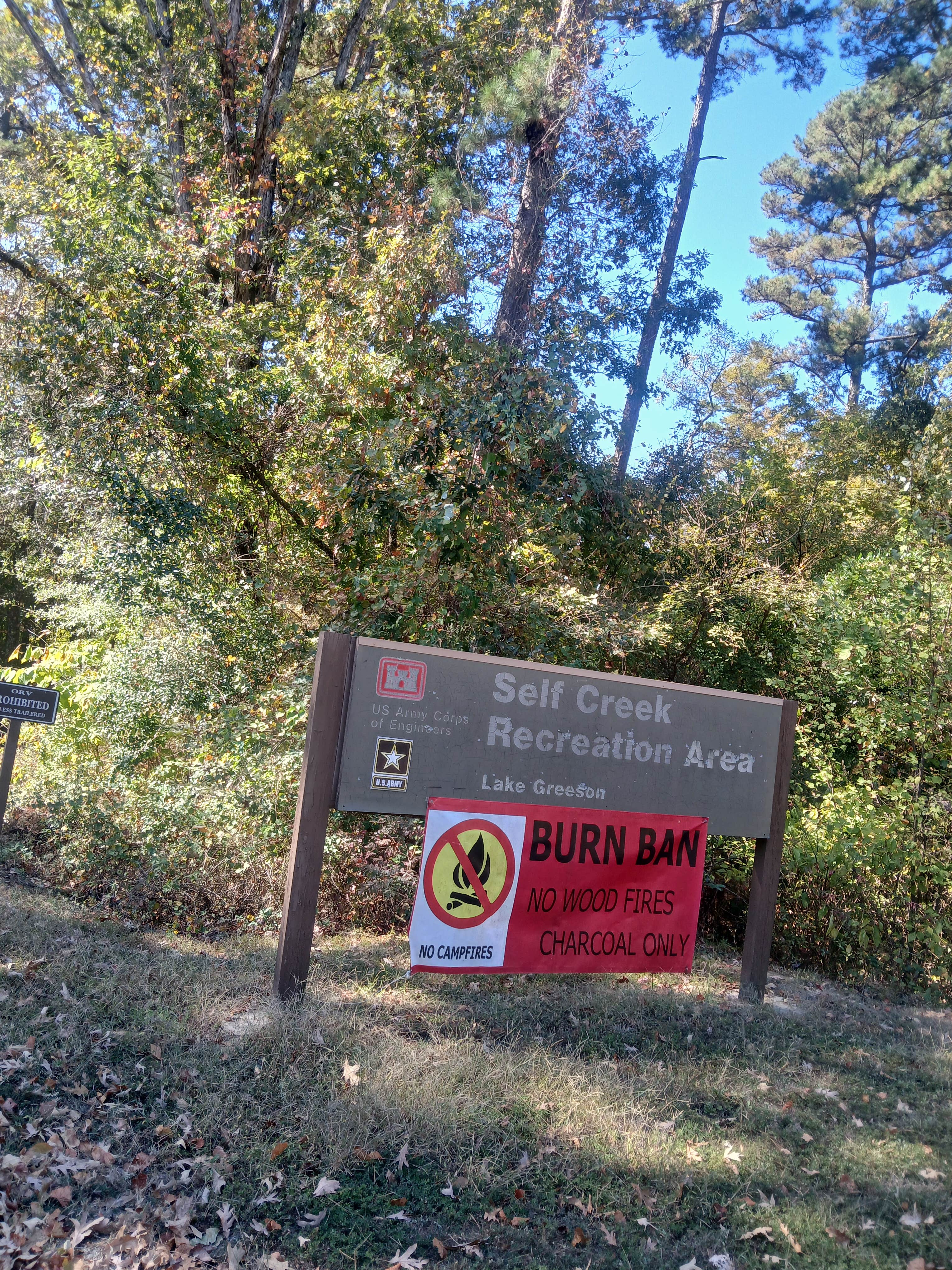 Camper-submitted photo at Self Creek near Langley, AR