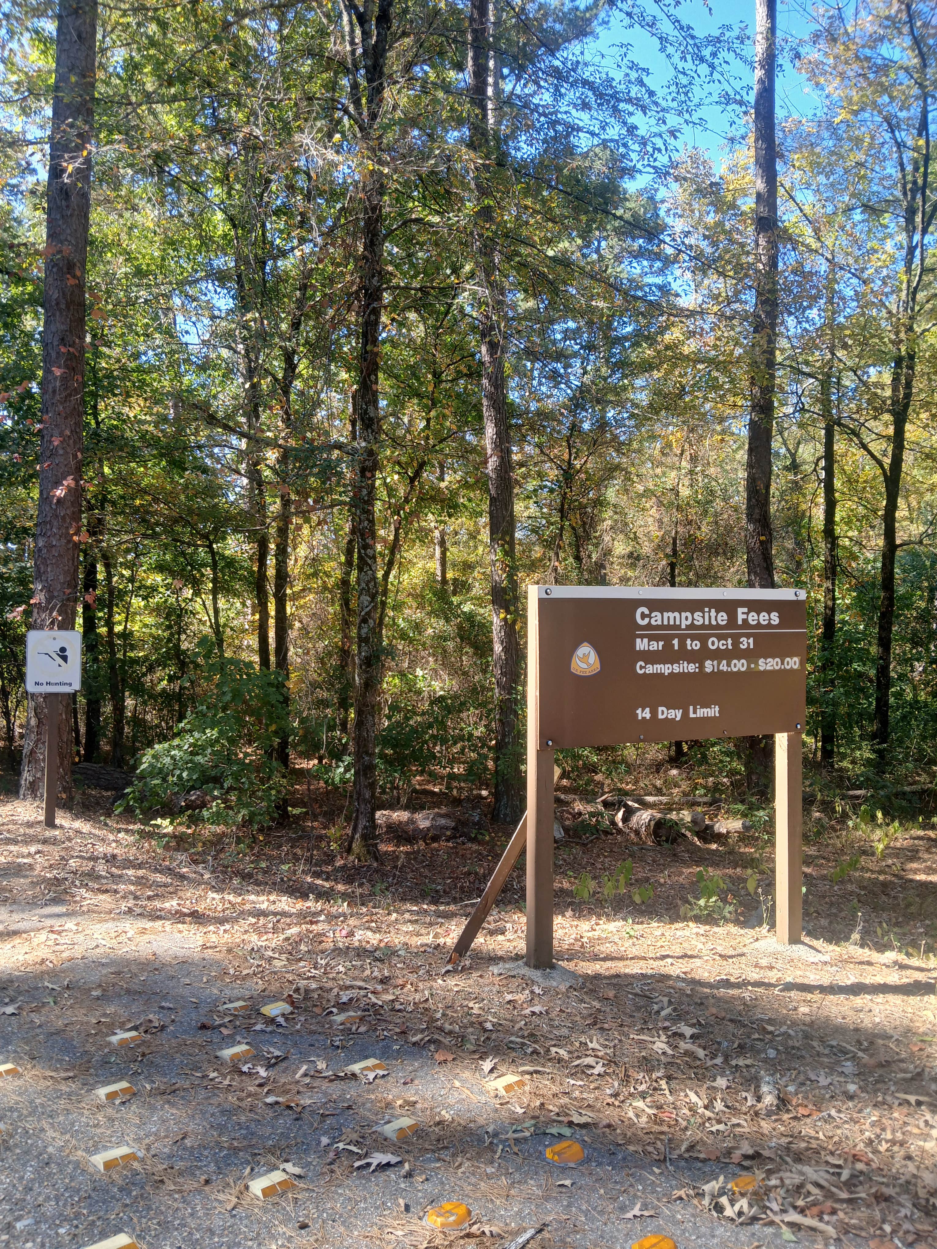 Camper-submitted photo at Self Creek near Langley, AR