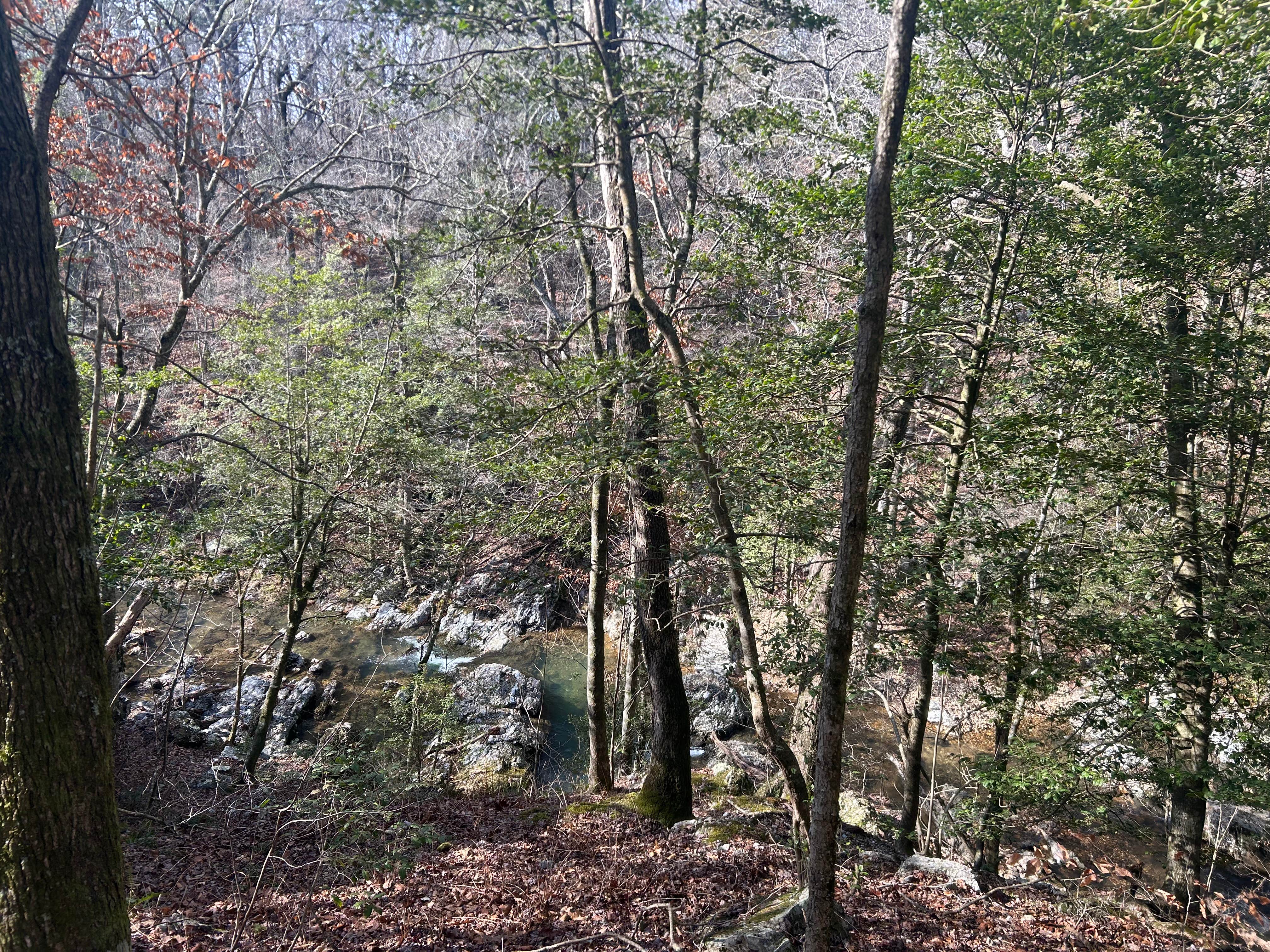 Camper-submitted photo at Shady Lake Campground near Vandervoort, AR