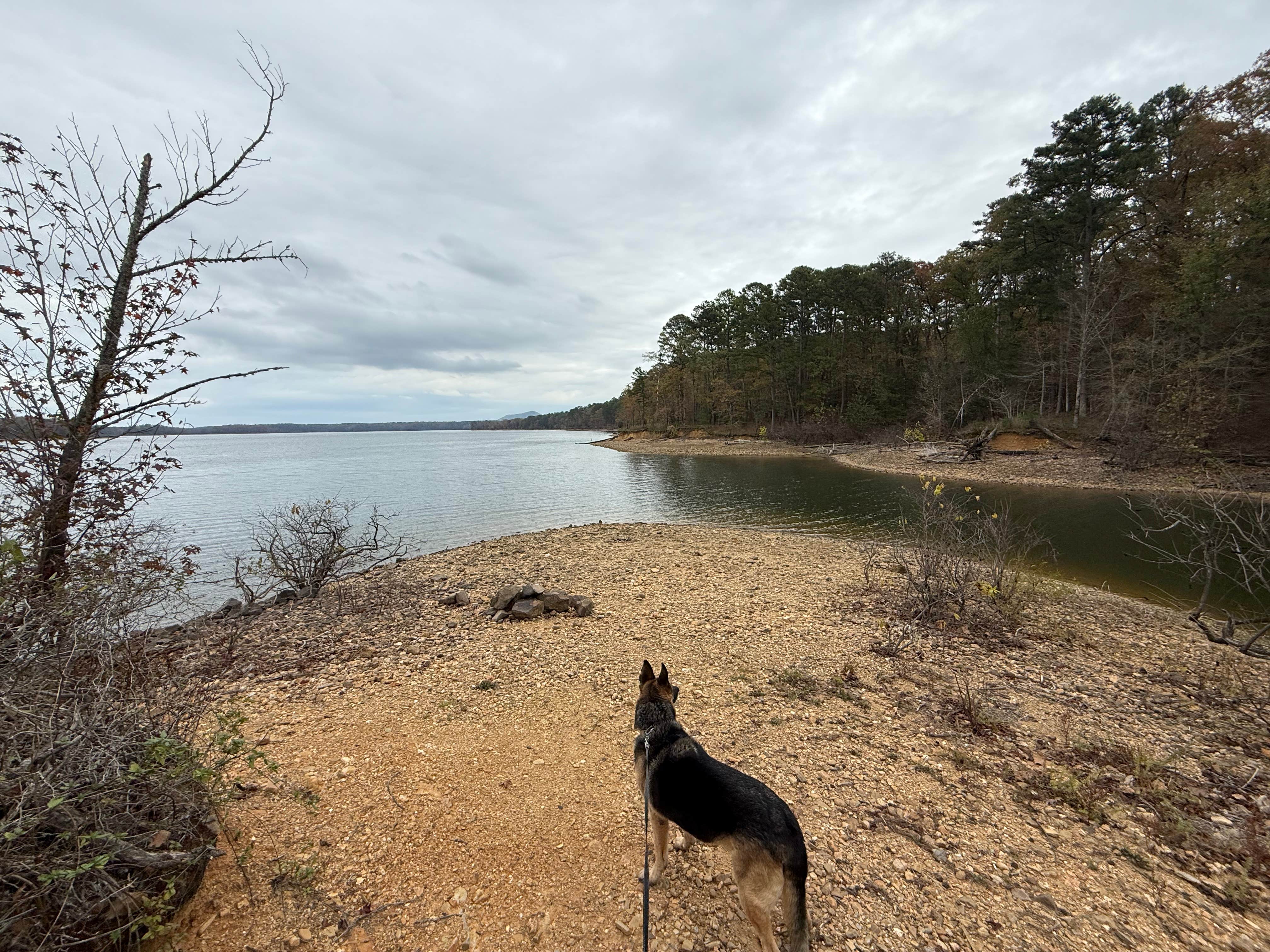 Camper submitted image from Twin Creek Campground - 1