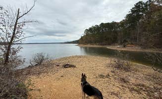 James B.'s photo of camping with pets at Twin Creek Campground near Ouachita Lake