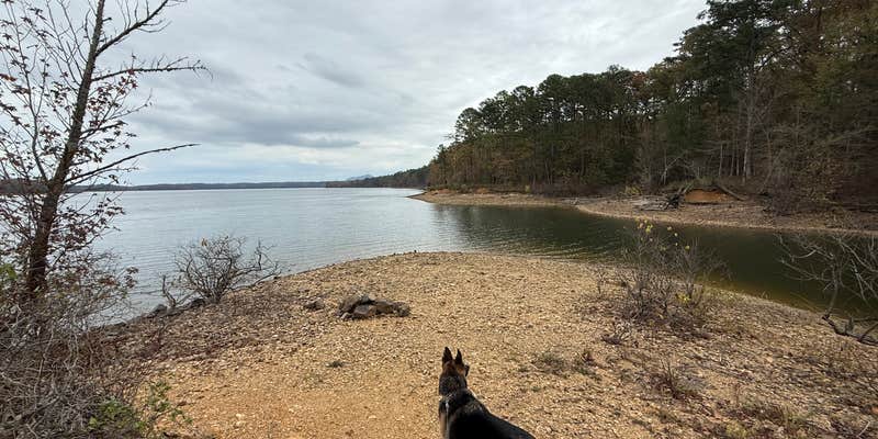 Camper submitted image from Twin Creek Campground