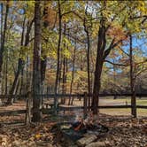 Review photo of Village Creek State Park Campground by Christopher  T., August 30, 2025