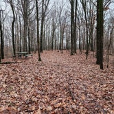 Review photo of Village Creek State Park Campground by Teresa T., January 29, 2024