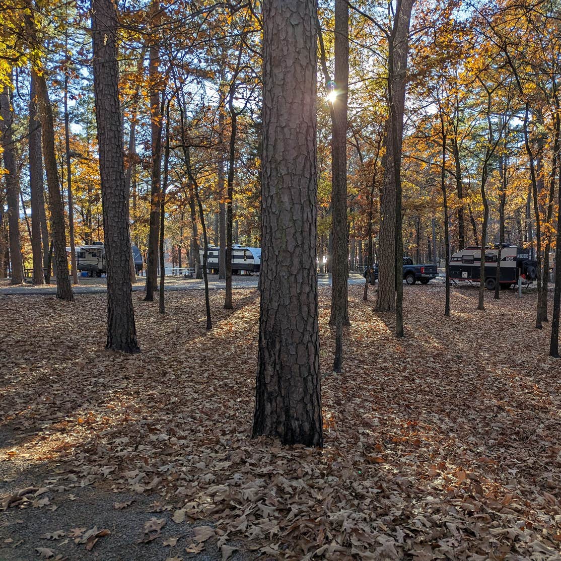 Waveland Park Camping Havana, AR