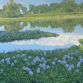 Review photo of Willow Beach by Jo E., June 14, 2025