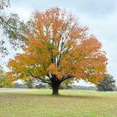 Review photo of Willow Beach by Nicole F., November 8, 2025