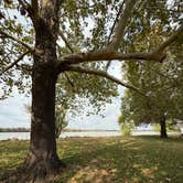 Review photo of Willow Beach by Nicole F., November 8, 2025