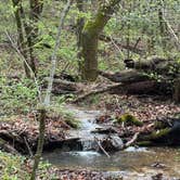 Review photo of Withrow Springs State Park Campground by Jennifer O., April 4, 2026