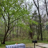 Review photo of Withrow Springs State Park Campground by Jennifer O., April 4, 2026