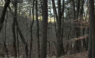 Prateek's photo at Wolf Pen Recreation Area Campground near Ozone, AR