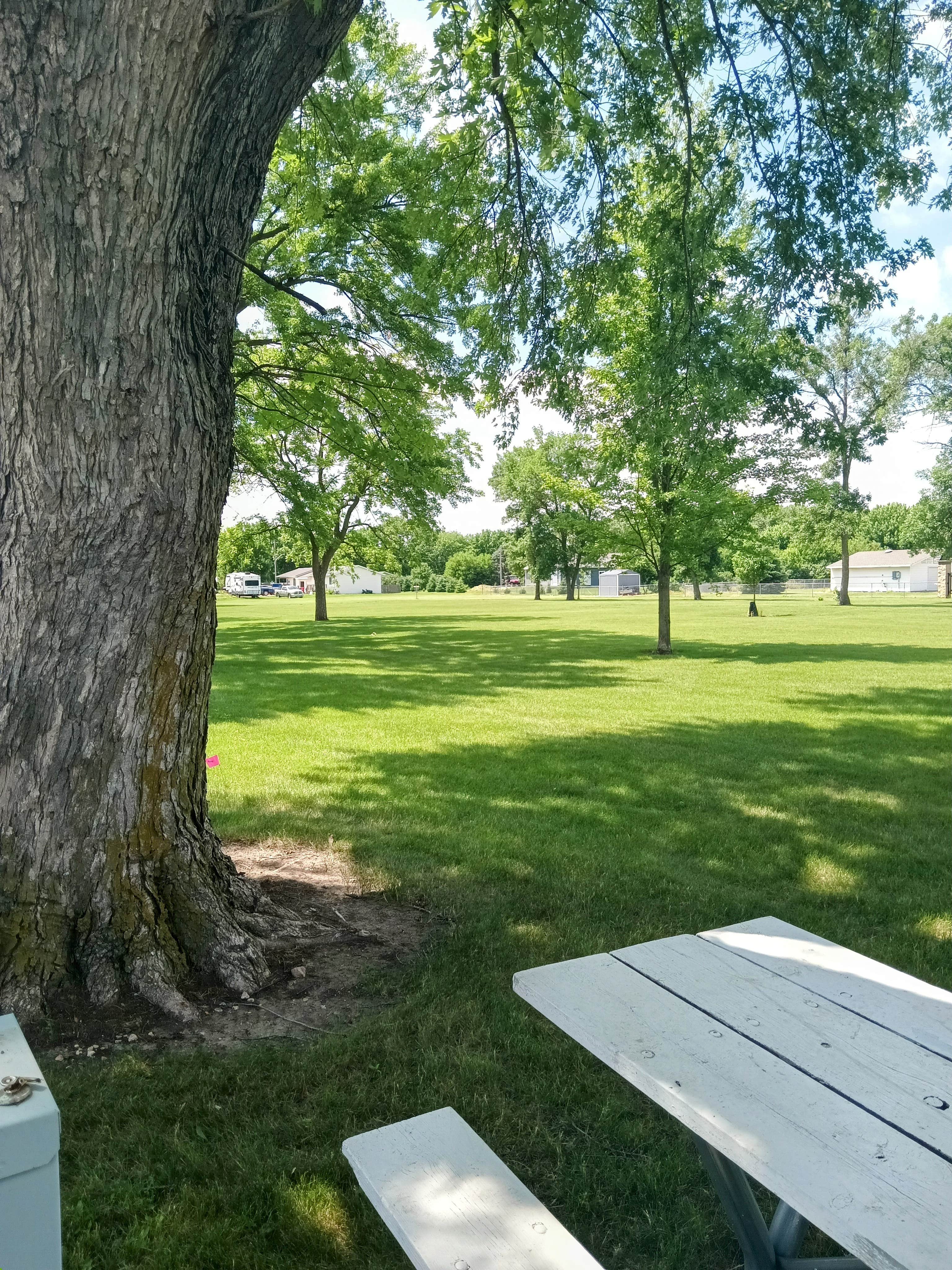 Camper-submitted photo at Armour Lions Park near Geddes, SD
