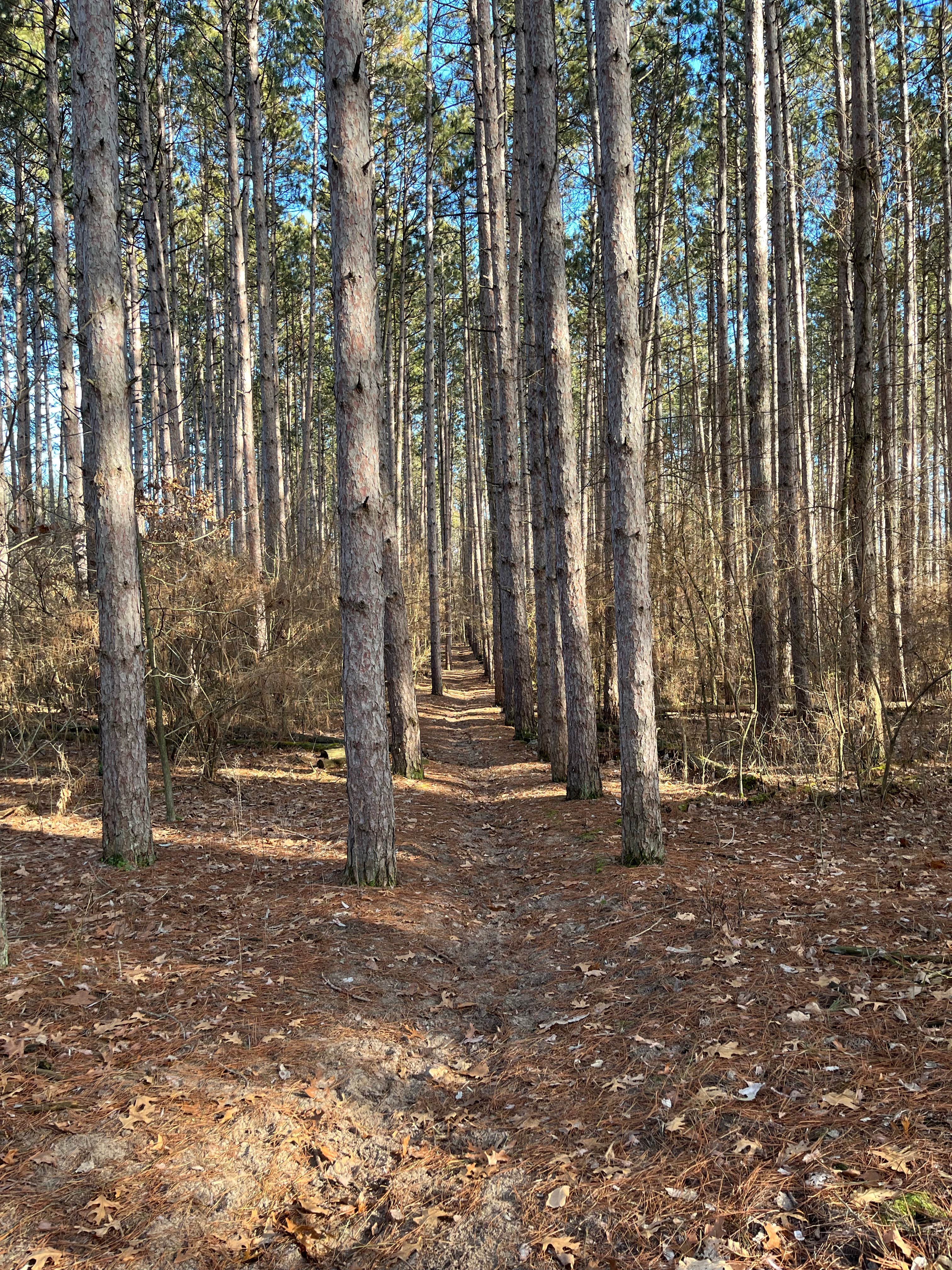 Camper-submitted photo at Arrowhead Acres near Monticello, IL