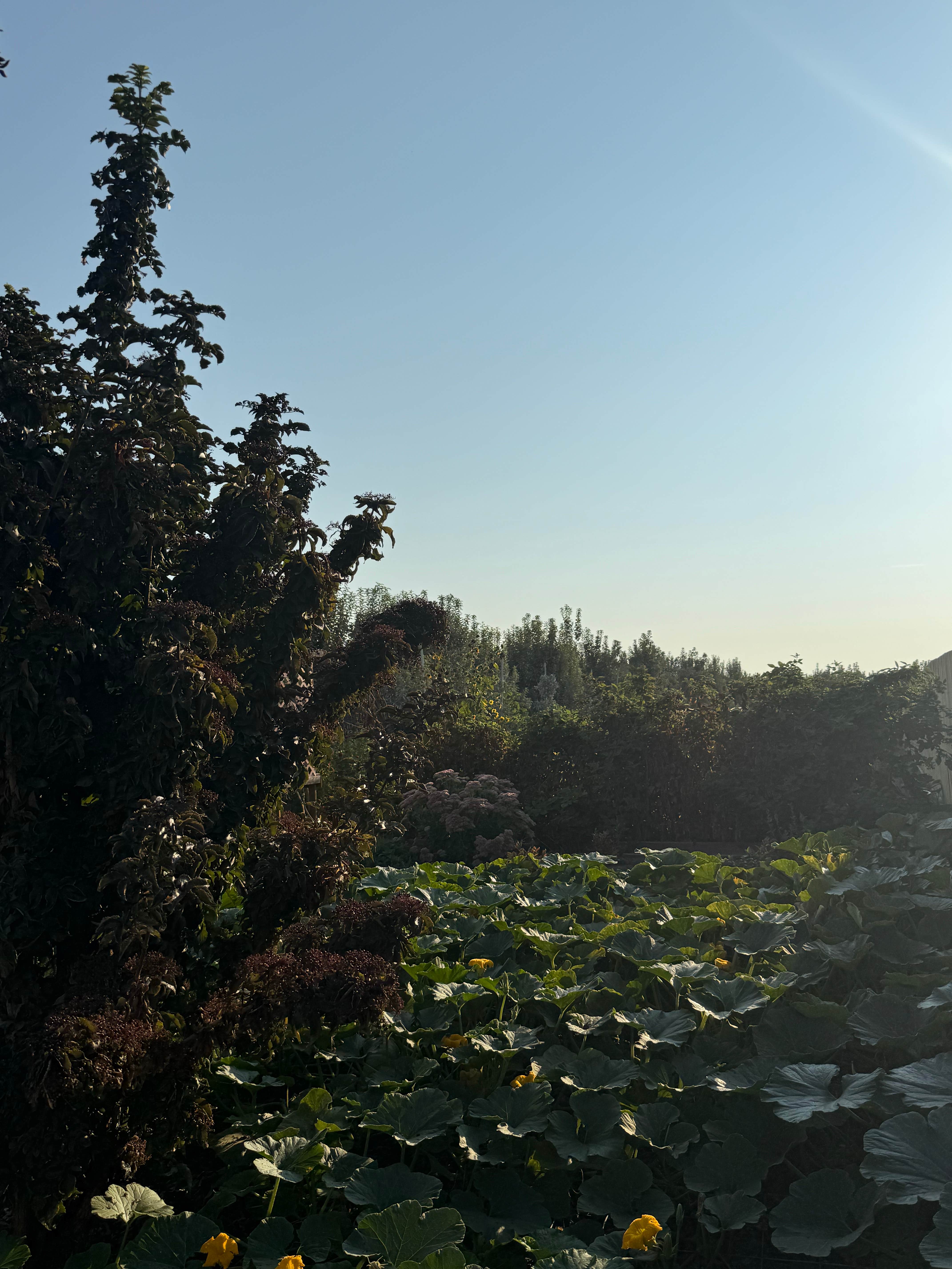 Camper-submitted photo at Arrowhead RV Park near Walla Walla, WA