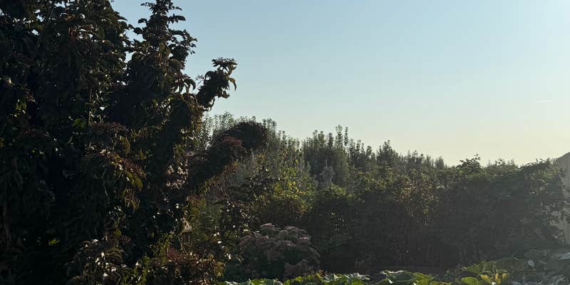 Camper submitted image from Arrowhead RV Park