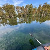 Review photo of Florida Caverns RV Resort by Teresa H., October 14, 2025