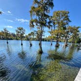 Review photo of Florida Caverns RV Resort by Teresa H., October 14, 2025